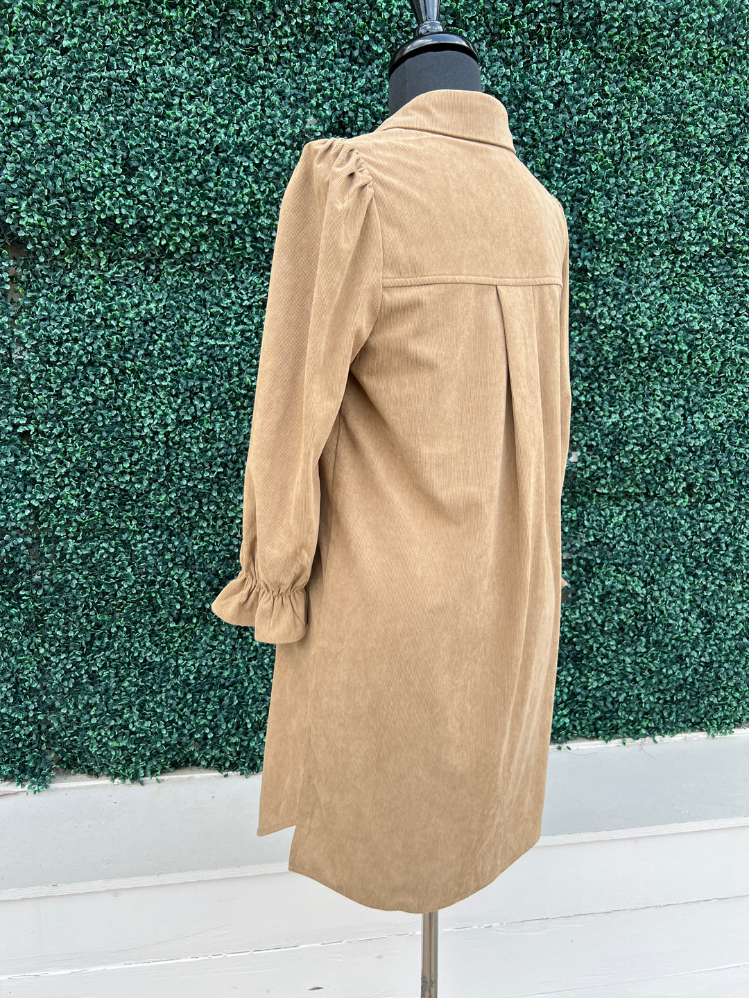 Crduroy Placket Collar Dress