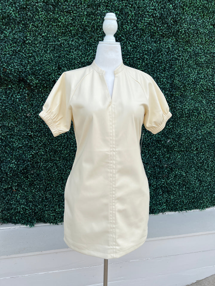 V Neck Vegan Leather Dress