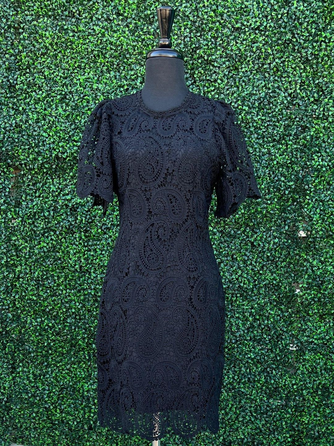 Lined Lace Dress | Little Black Dress Shop Black / L Lined Lace Dress | Little Black Dress Shop Black / L