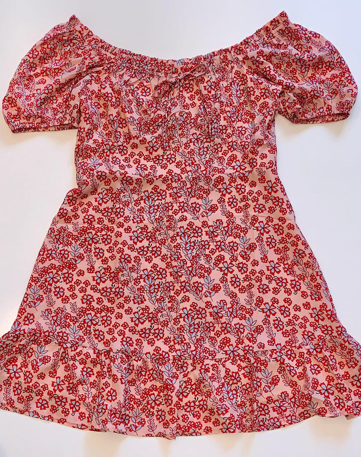 Red and blue and pink flowers on women's dress in Houston